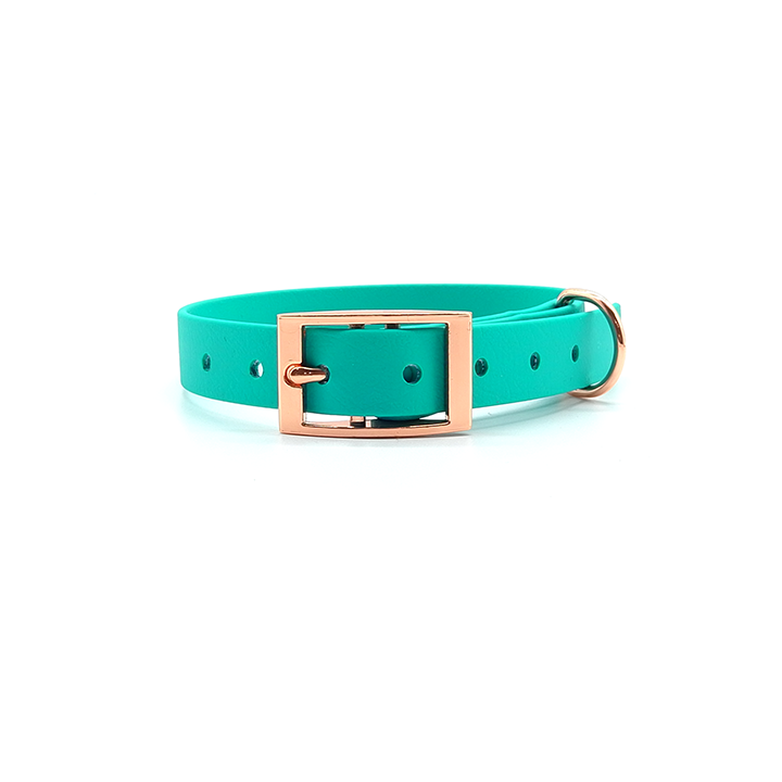 teal dog collar
